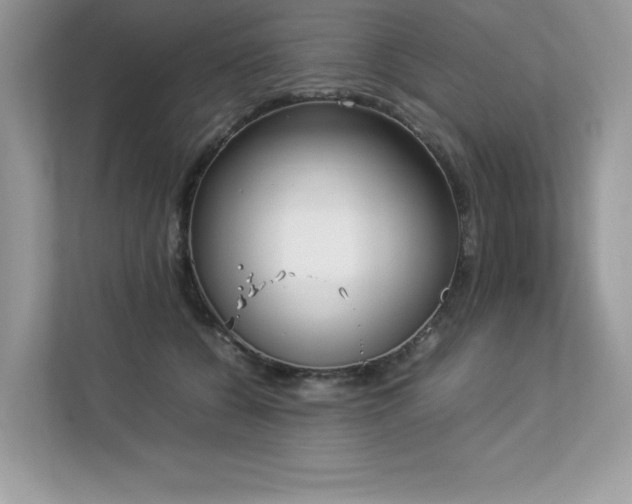 X0000112850560200908211303