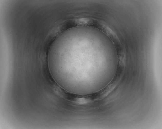 X0000112850561200908211303
