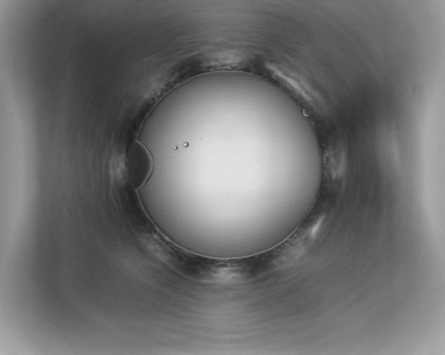X0000112850564200908211303