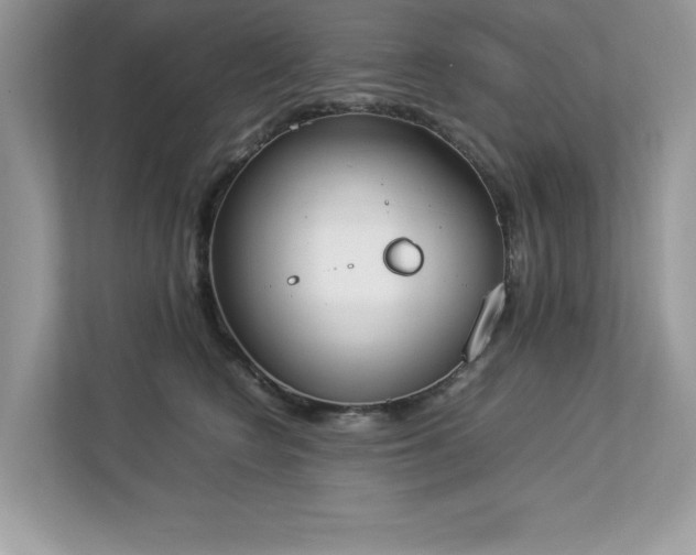 X0000112850566200908211303