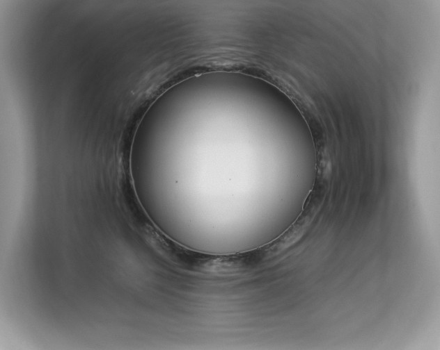 X0000112850568200908211303