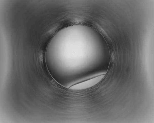X0000112850570200908211303