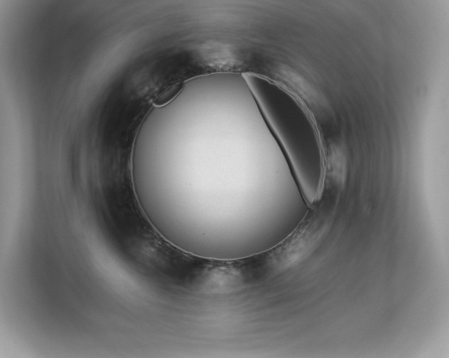 X0000112850572200908211303