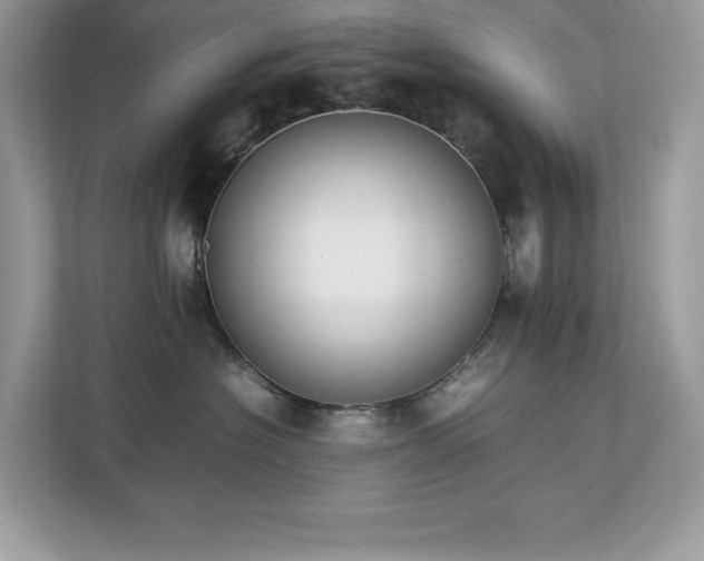 X0000112850574200908211303