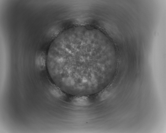 X0000112850576200908211303