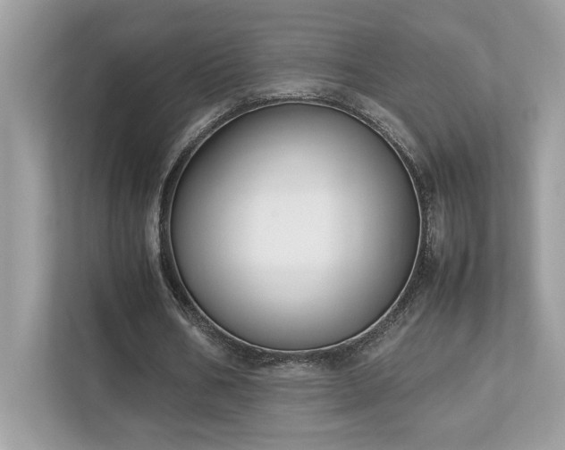 X0000112850578200908211302