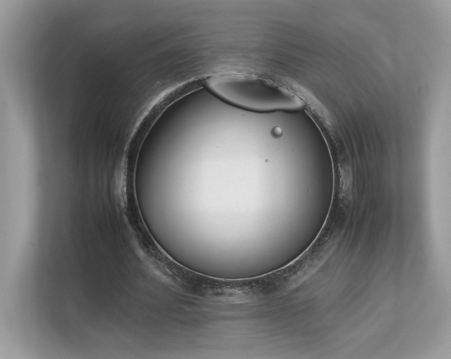 X0000112850580200908211302