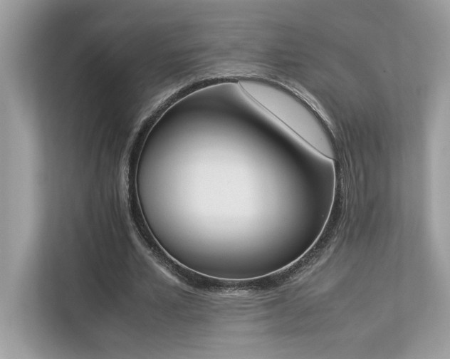 X0000112850581200908211302