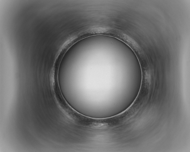 X0000112850582200908211302