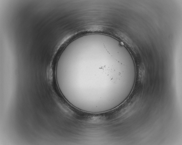 X0000112850584200908211302