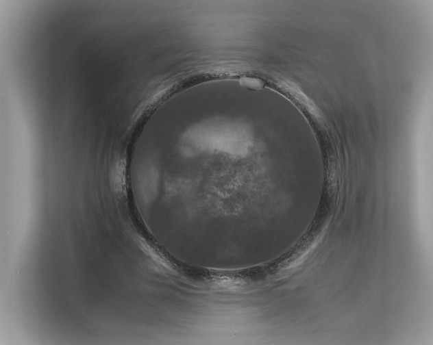 X0000112850585200908211302