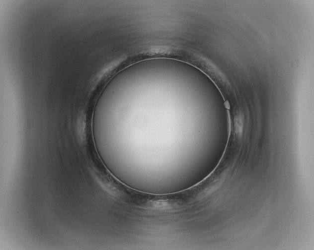 X0000112850588200908211302