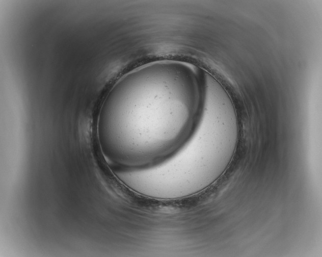 X0000112850592200908211302