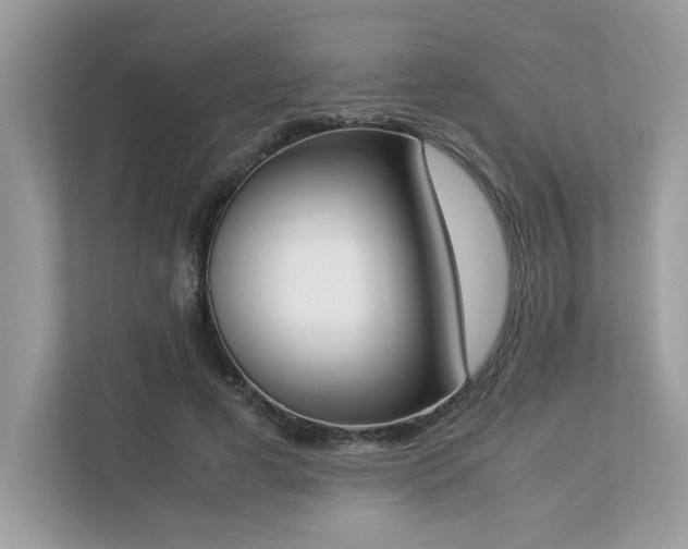 X0000112850593200908211302