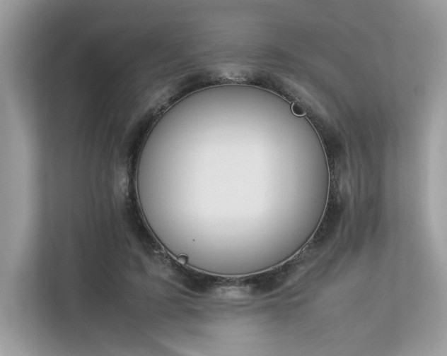 X0000112850595200908211302