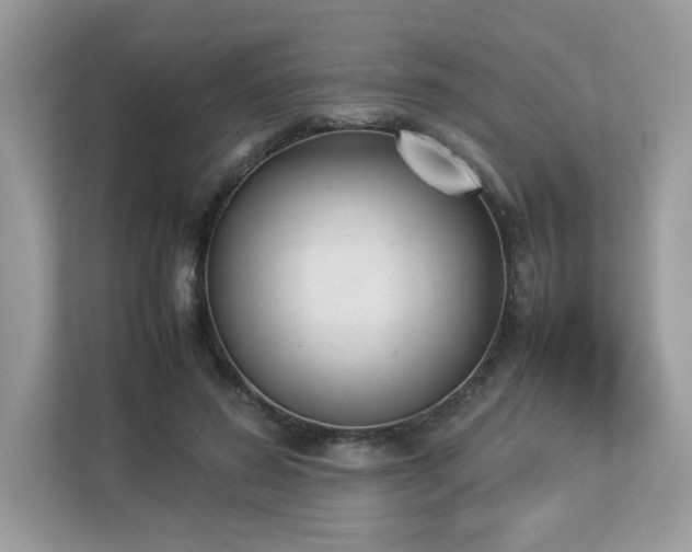 X0000112850596200908211302
