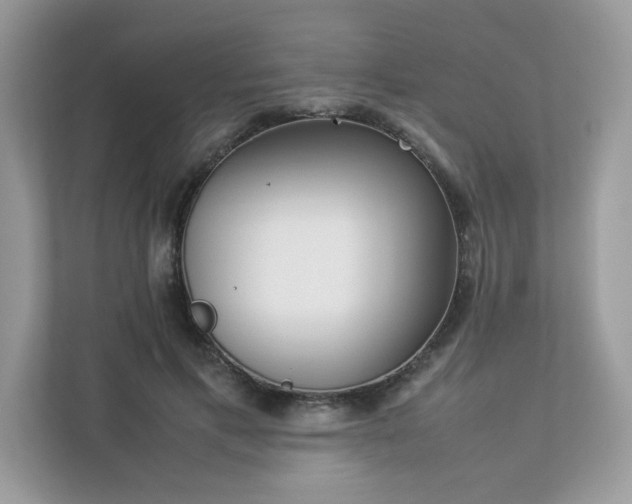 X0000112850597200908211302