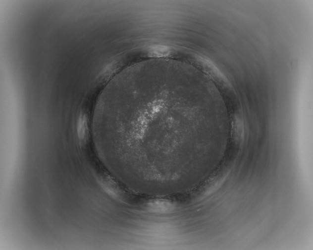 X0000112850598200908211302