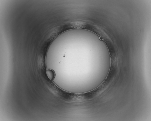 X0000112850599200908211302