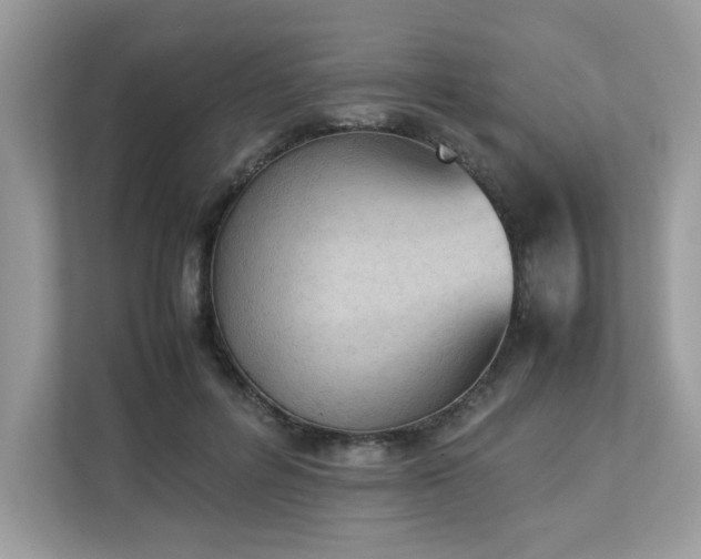 X0000112850600200908211302