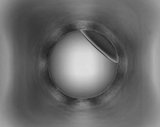 X0000112850601200908211302