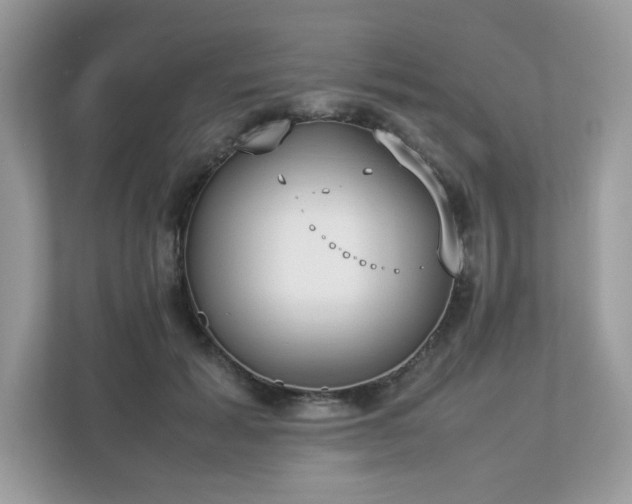 X0000112850605200908211302