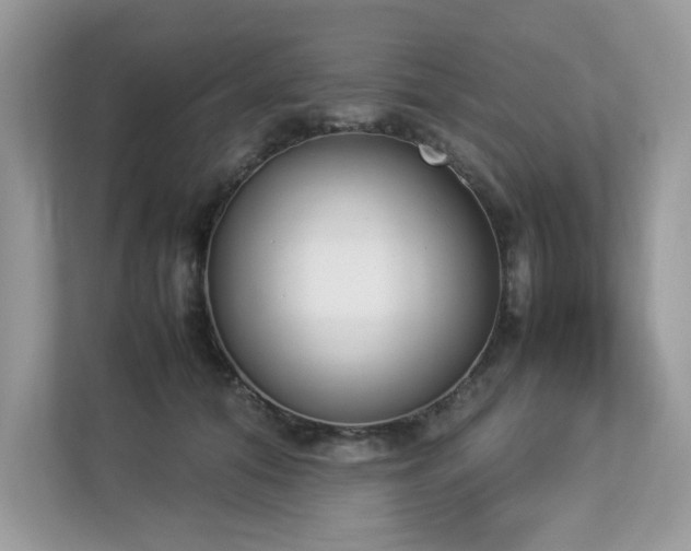 X0000112850608200908211302