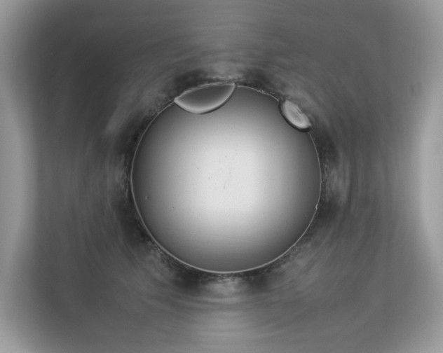 X0000112850609200908211302