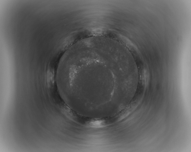 X0000112850610200908211302