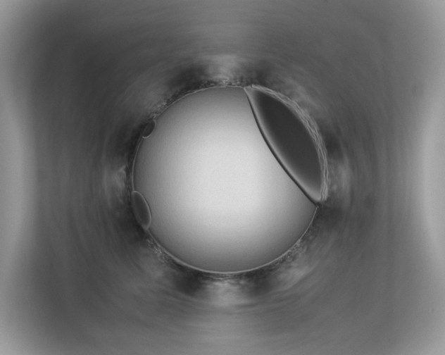 X0000112850611200908211302