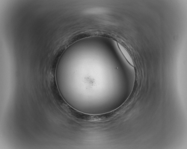 X0000112850613200908211302