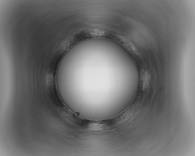 X0000112850614200908211302