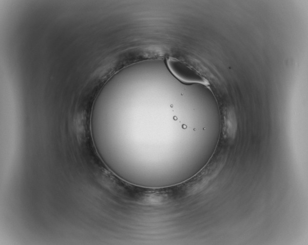 X0000112850616200908211302
