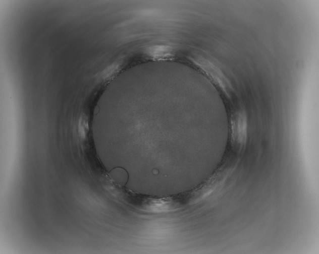 X0000112850618200908211302