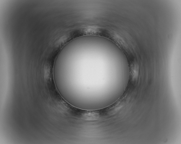 X0000112850619200908211302