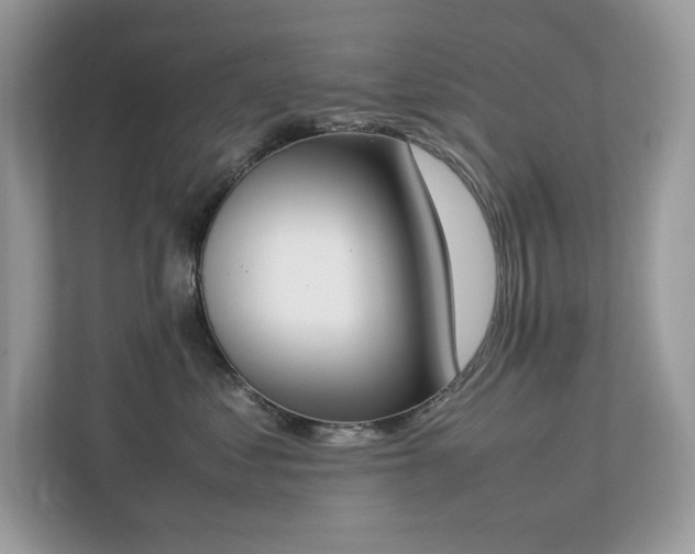 X0000112850621200908211302
