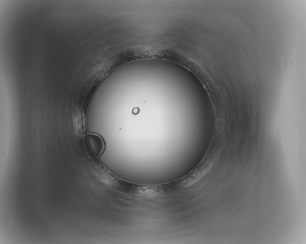 X0000112850624200908211301