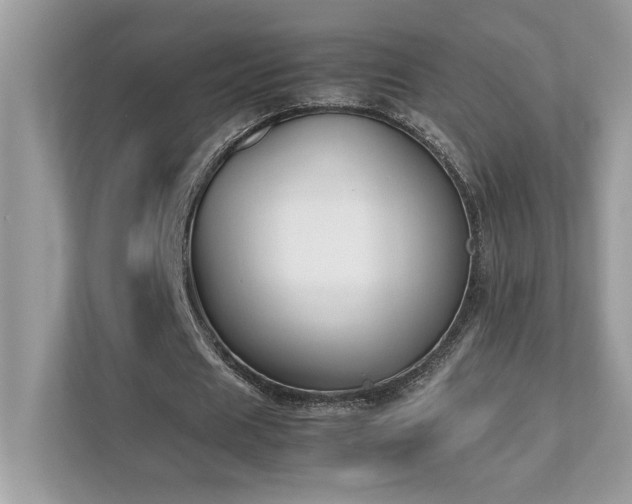 X0000112850625200908211301
