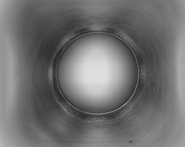 X0000112850626200908211301