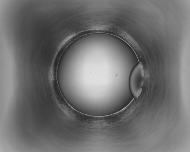 X0000112850628200908211301