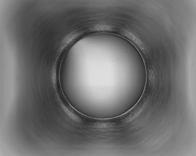X0000112850629200908211301