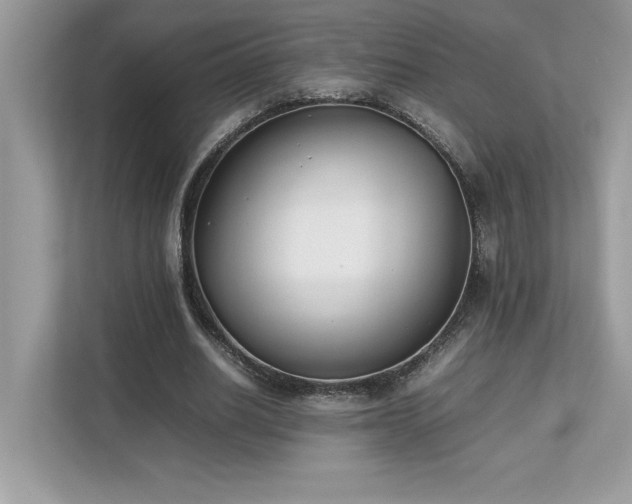 X0000112850630200908211301