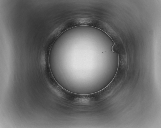 X0000112850639200908211301