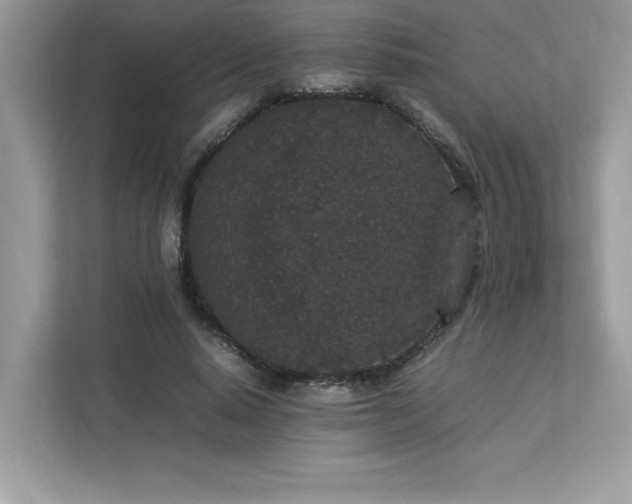 X0000112850640200908211301