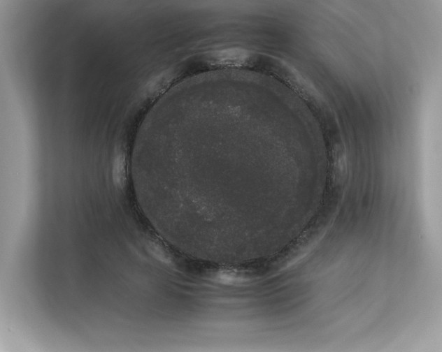 X0000112850641200908211301