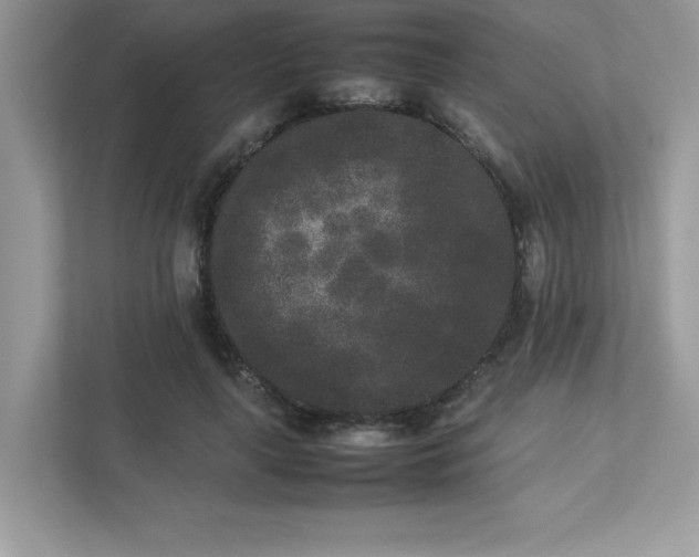 X0000112850643200908211301