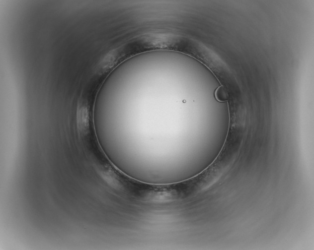 X0000112850646200908211301