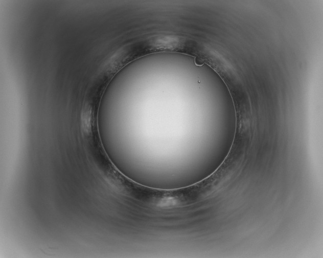 X0000112850647200908211301