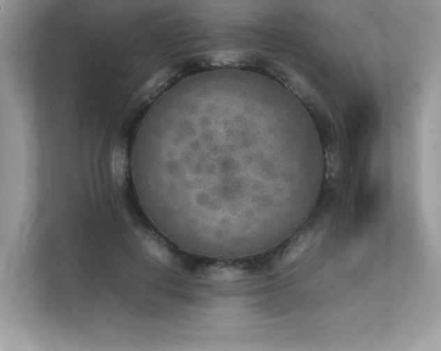 X0000112850648200908211301