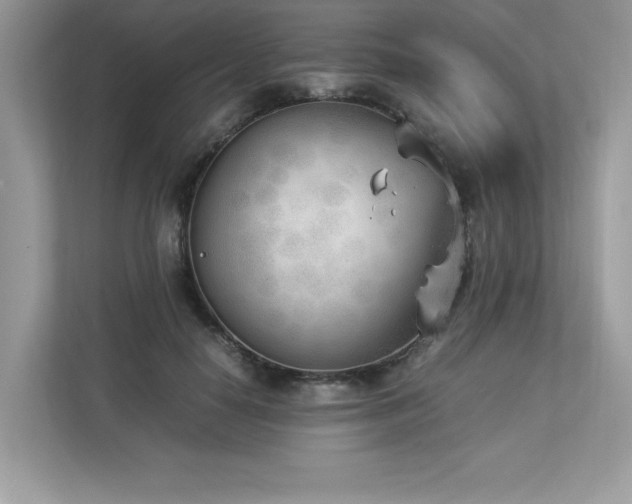 X0000112850650200908211301